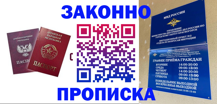 прописка в Мончегорске